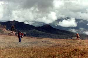 ... нас то и дело обгоняют караваны горников и пешеходов, которые дивятся габаритам наших рюкзаков ...