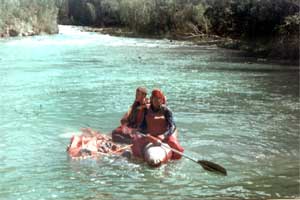 Картина маслом - приплыли ...